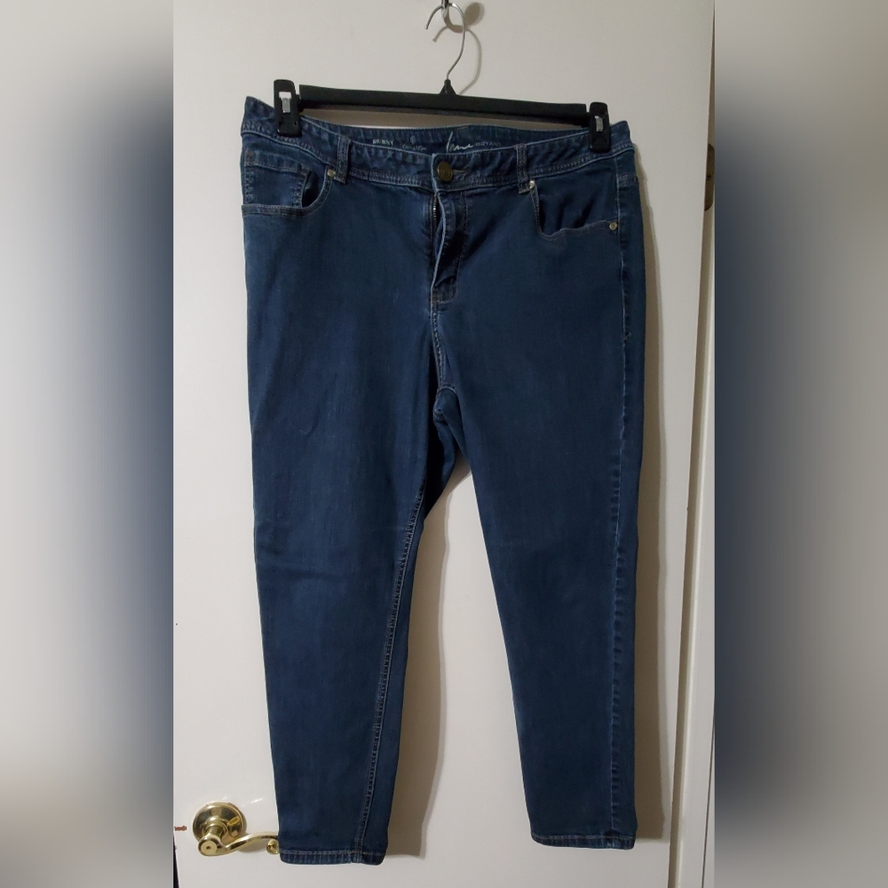 Lane Bryant Skinny Genuis Fit Jeans